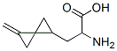 스피로[2.2]펜탄프로판산,알파-아미노-2-메틸렌-(9CI) 구조식 이미지