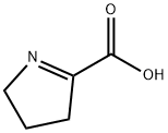 3,4-dihydro-2H-pyrrole-5-carboxylic acid Structure