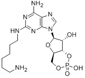 2-(6-아미노헥실)아미노아데노신-3',5'-고리모노포스페이트 구조식 이미지