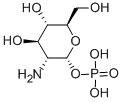 2152-75-2 ALPHA-D-GLUCOSAMINE 1-PHOSPHATE