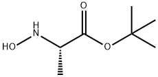 Alanine, N-hydroxy-, 1,1-dimethylethyl ester (9CI) Structure