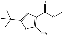 methyl 2-amino-5-tert-butylthiophene-3-carboxylate Structure