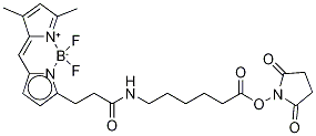 3-바디피-프로파노일아미노카프로산,N-하이드록시석신이미드에스테르 구조식 이미지