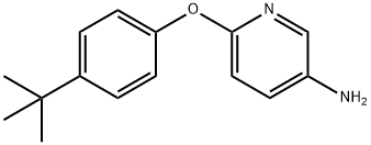 5-AMINO-2-(4-TERT-BUTYLPHENOXY)PYRIDINE 구조식 이미지