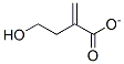 hydroxymethylmethacrylate Structure