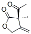 2(3H)-Furanone, 3-acetyldihydro-3-methyl-4-methylene-, (3R)- (9CI) Structure