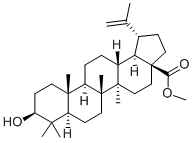 2259-06-5 BETULINIC ACID METHYL ESTER