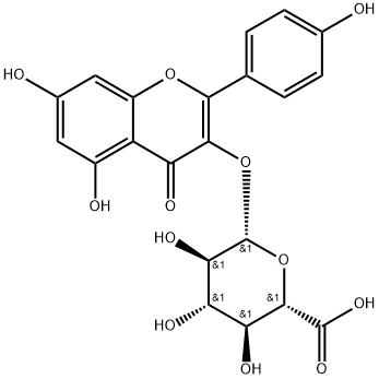 KAEMPFEROL-3-GLUCURONIDE 구조식 이미지