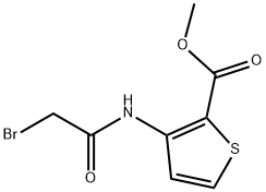 METHYL 3-[(2-BROMOACETYL)AMINO]THIOPHENE-2-CARBOXYLATE 구조식 이미지