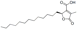 (S)-2-tridecyl-2,5-dihydro-4-methyl-5-oxo-3-furoic acid 구조식 이미지