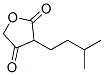 3-Isopentyl-2,4(3H,5H)-furandione Structure