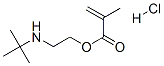 2-[(1,1-디메틸에틸)아미노]에틸메타크릴레이트염산염 구조식 이미지