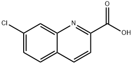 7-Chloro-2-quinolinecarboxylic acid 구조식 이미지