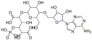 2-[5-[[5-(6-aminopurin-9-yl)-3,4-dihydroxy-oxolan-2-yl]methoxy]-3,4-di hydroxy-6-(hydroxymethyl)oxan-2-yl]oxy-3,5-dihydroxy-4-phosphonooxy-he xanedioic acid Structure