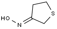 TETRAHYDROTHIOPHEN-3-ONE OXIME Structure