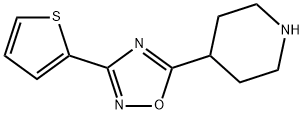 4-[3-(THIEN-2-YL)-1,2,4-OXADIAZOL-5-YL]PIPERIDINE
 구조식 이미지