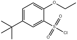 5-TERT-BUTYL-2-ETHOXYBENZENE-1-SULFONYL CHLORIDE Structure