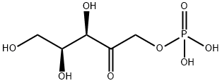 xylulose-1-phosphate Structure