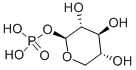 A-D-XYLOSE 1-PHOSPHATE*DI(MONOCYCLOHEXYLAMMONIUM) Structure