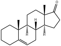 Androst-5-en-17-one Structure