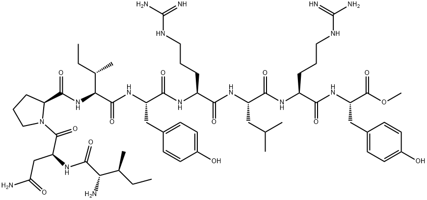 BVD 10 Structure