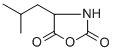 (R,S)-4-ISOBUTYLOXAZOLIDINE-2,5-DIONE Structure