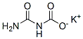 potassium carbamoylcarbamate Structure