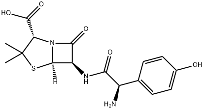 Amoxicilline Structure