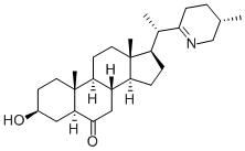 PETILINE Structure