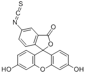 Fluorescein isothiocyanate  Structure