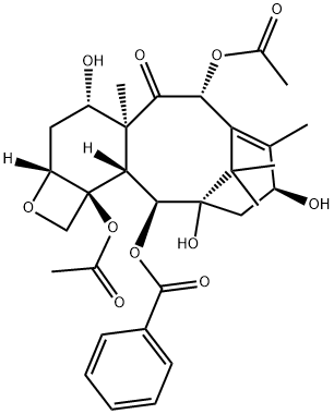 Baccatine III Structure