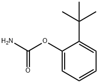 (2-tert-butylphenyl) carbamate Structure