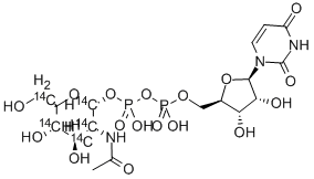 URIDINE DIPHOSPHATE N-ACETYL-D-GLUCOSAMINE, [GLUCOSAMINE-14C(U)] 구조식 이미지