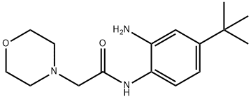 5-(tert-Butyl)-2-[(morpholin-4-yl)acetamido]aniline, 5-(tert-Butyl)-2-[(morpholin-4-yl)acetylamino]aniline, 4-(2-{[2-Amino-4-(tert-butyl)phenyl]amino}-2-oxoethyl)morpholine 구조식 이미지