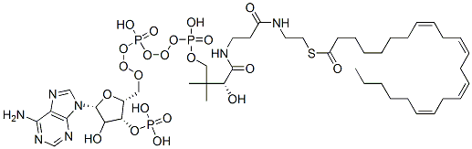 S-[2-[3-[[(2R)-4-[[[(2R,3R,5R)-5-(6-aminopurin-9-yl)-4-hydroxy-3-phosphonooxyoxolan-2-yl]methoxy-hydroxyphosphoryl]oxy-hydroxyphosphoryl]oxy-2-hydroxy-3,3-dimethylbutanoyl]amino]propanoylamino]ethyl] (8Z,11Z,14Z,17Z)-tricosa-8,11,14,17-tetraenethioate 구조식 이미지