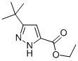 5-TERT-부틸-2H-피라졸-3-카르복실산에틸에스테르 구조식 이미지