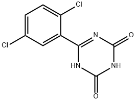 6-(2,5-dichlorophenyl)-1,3,5-Triazine-2,4(1H,3H)-dione 구조식 이미지