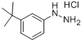 1-[3-(TERT-부틸)페닐]하이드라진염화물 구조식 이미지