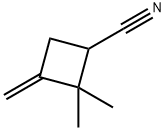 2,2-Dimethyl-3-methylenecyclobutane-1-carbonitrile Structure