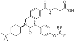 GRA Ex-25 Structure