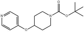 4-(피리딘-4-일옥시)-피페리딘-1-카르복실산tert-부틸에스테르 구조식 이미지