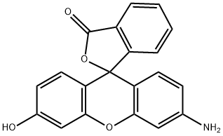 RHODOL Structure