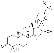 ARGENTATINA Structure