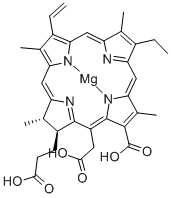 MAGNESIUMCHLOROPHYLLIN Structure