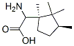 시클로펜탄아세트산,-알파-아미노-1,2,2,3-테트라메틸-,(1R,3S)-(9CI) 구조식 이미지