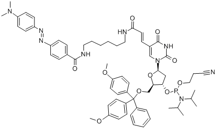 DABCYL-DT CEP Structure