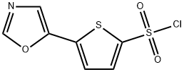 5-(1,3-OXAZOL-5-YL)-2-티오펜설포닐클로라이드 구조식 이미지