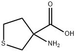 3-AMINO-TETRAHYDRO-THIOPHENE-3-CARBOXYLIC ACID Structure