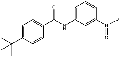 4-(tert-부틸)-N-(3-니트로페닐)벤즈아미드 구조식 이미지