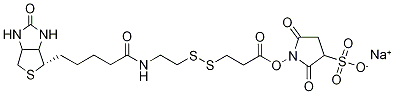 Sulfo-NHS-SS-Biotin Structure